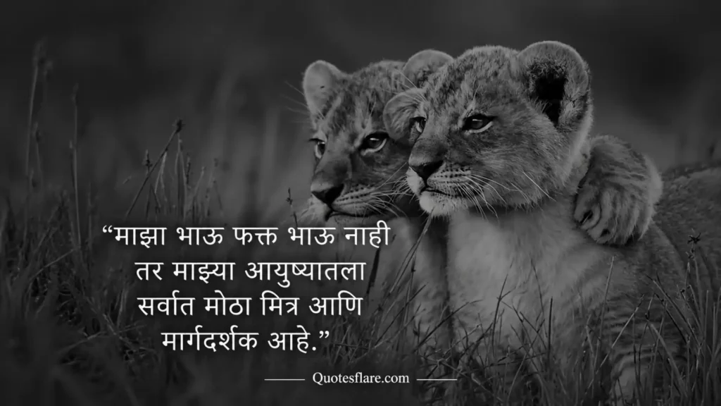 Brothers Caption in Marathi