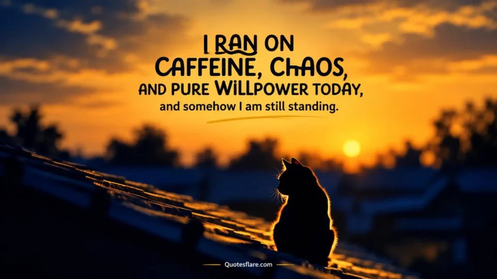 Funny End of the Day Quotes