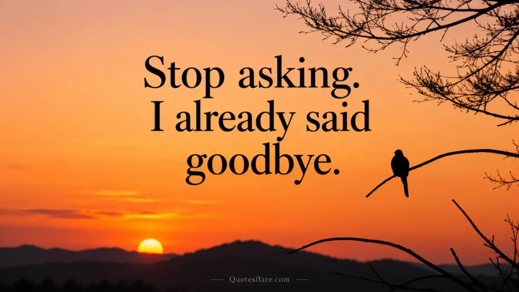 goodbye without explanation